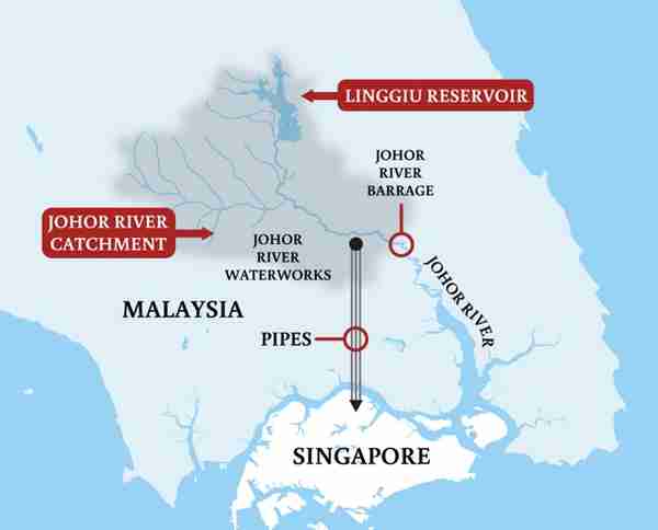 全球扎堆来“润”，新加坡怎么就赢麻了？
