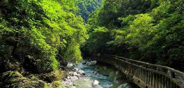 遇间旅游 | 元旦跨年旅行八大好去处！邂逅山河美景，与新年相拥~