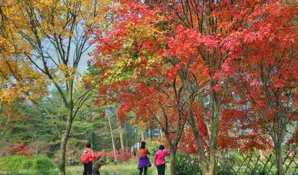 广州出发-清远3天游，打卡英德宝晶宫景区+佛冈田野绿世界赏红枫
