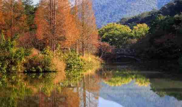 广州出发-清远3天游，打卡英德宝晶宫景区+佛冈田野绿世界赏红枫