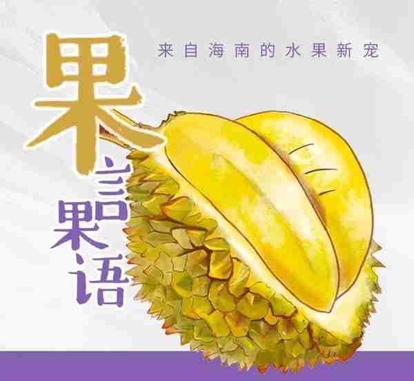 首批“海南牌”榴莲将上市，还有超多“新奇特”热带果蔬扎根海南