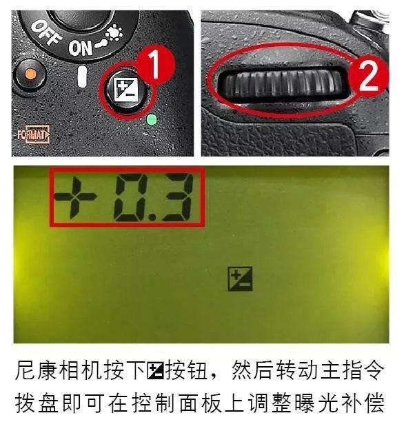 摄影教程：5分钟教你学会锁定曝光与曝光补偿的设置与使用技巧