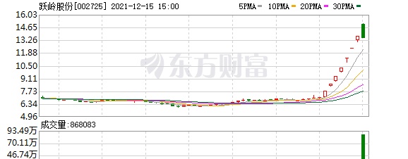 多主力现身龙虎榜，跃岭股份跌停（12-22）