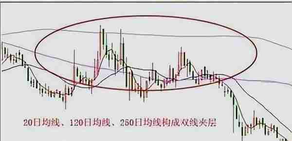 北大教授点破股市：用一只母鸡，就把股市的前世今生讲透彻