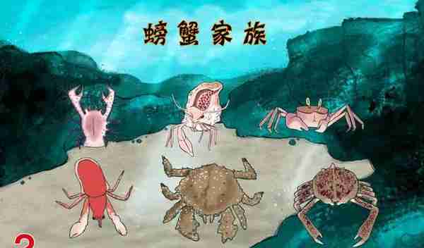 10种奇怪的螃蟹：有五颜六色的体色，有稀奇古怪的模样