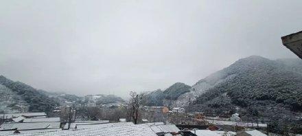 今天，四明山上下雪了