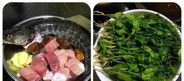 广东人喜欢的养生汤，塘葛菜煲生鱼，你会做吗？