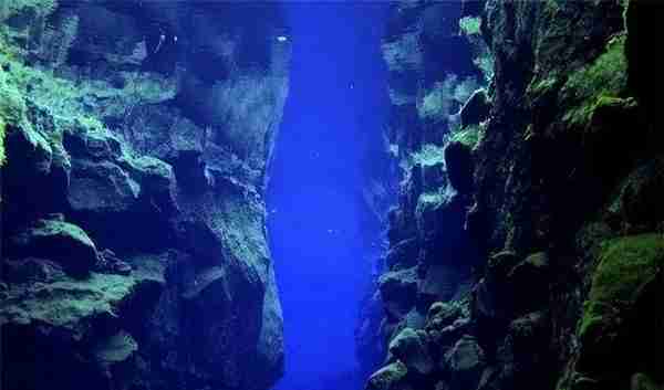 一万米的海底有什么？曾经的“海底居民”，为何如今却销声匿迹了