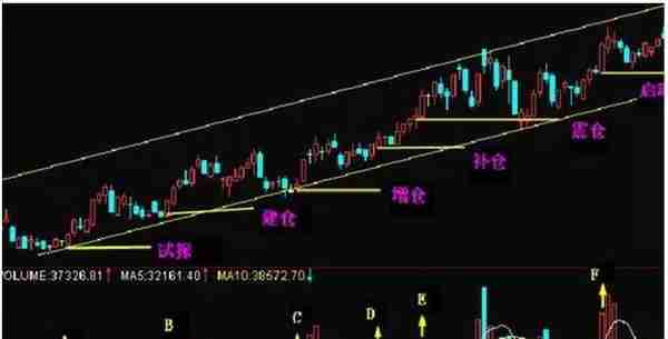 500%盈利的奥秘全公开：“倍量柱”完美预知主力的真实操盘意图！绝世秘籍