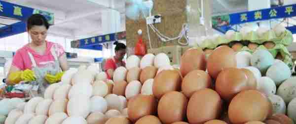 鸡蛋期货主连历史新低背后：蛋价一个月下跌12% 贸易商陷入亏损