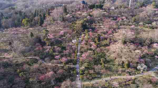 遇间旅游 | 元旦跨年旅行八大好去处！邂逅山河美景，与新年相拥~