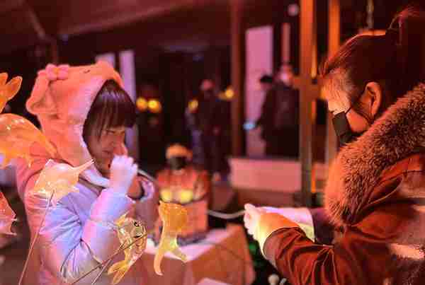 古典园林、十二花神……上海首场古典园林光影秀元宵夜启幕